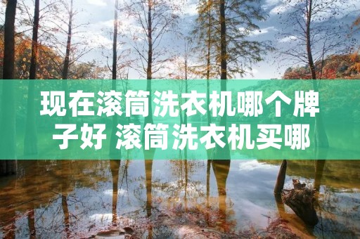 现在滚筒洗衣机哪个牌子好 滚筒洗衣机买哪家 现在滚筒洗衣机哪个牌子好 滚筒洗衣机买哪家