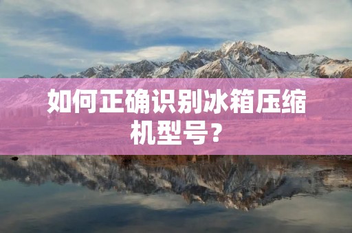 如何正确识别冰箱压缩机型号？