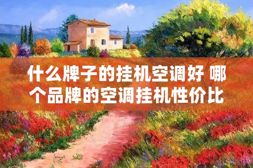 什么牌子的挂机空调好 哪个品牌的空调挂机性价比更高一些