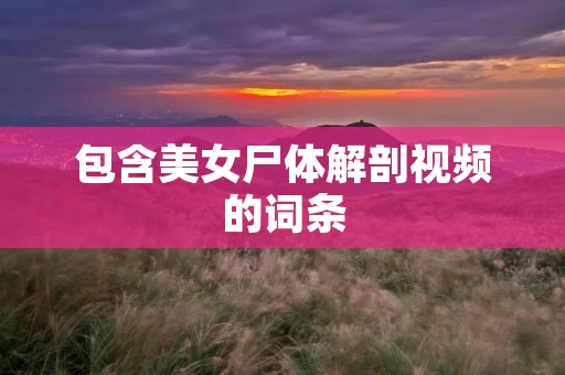 包含美女尸体解剖视频的词条