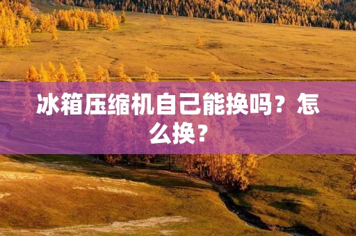 冰箱压缩机自己能换吗?怎么换? 冰箱压缩机自己能换吗?怎么换?