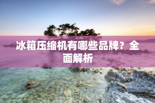 冰箱压缩机有哪些品牌？全面解析