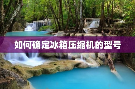 如何确定冰箱压缩机的型号 如何确定冰箱压缩机的型号
