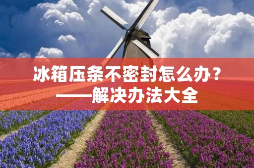 冰箱压条不密封怎么办?——解决办法大全 冰箱压条不密封怎么办?——解决办法大全