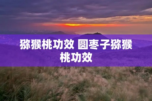 猕猴桃功效 圆枣子猕猴桃功效