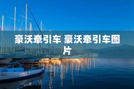 豪沃牵引车 豪沃牵引车图片 豪沃牵引车 豪沃牵引车图片