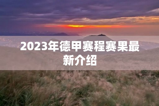 2023年德甲赛程赛果最新介绍