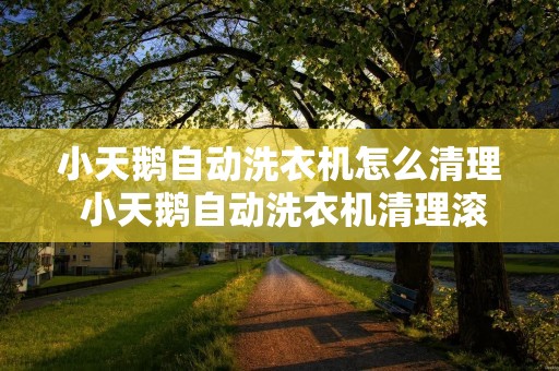 小天鹅自动洗衣机怎么清理 小天鹅自动洗衣机清理滚筒好用吗