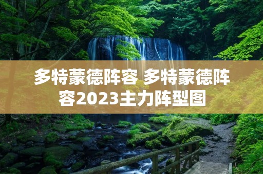 多特蒙德阵容 多特蒙德阵容2023主力阵型图
