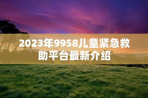 2023年9958儿童紧急救助平台最新介绍