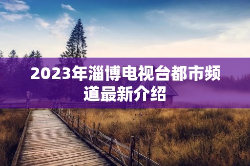 2023年淄博电视台都市频道最新介绍