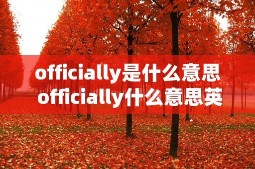 officially是什么意思 officially什么意思英语