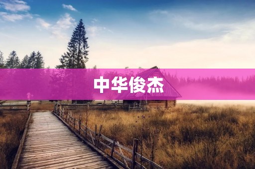 中华俊杰：见证中华儿女的英雄气概