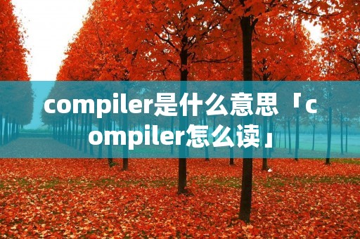 compiler是什么意思「compiler怎么读」