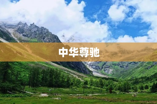 中华尊驰：一款豪华SUV的全新标杆