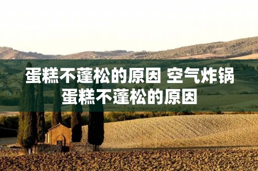 蛋糕不蓬松的原因 空气炸锅蛋糕不蓬松的原因