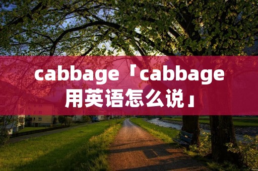 cabbage「cabbage用英语怎么说」 cabbage「cabbage用英语怎么说」