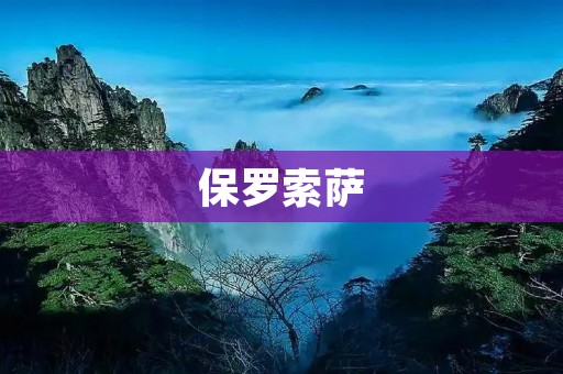 保罗索萨:一位天才的足球教练 保罗索萨:一位天才的足球教练