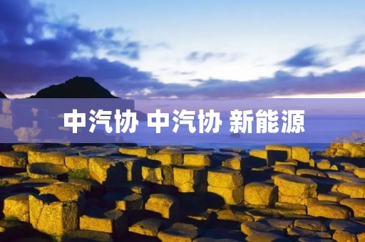 中汽协 中汽协 新能源 中汽协 中汽协 新能源