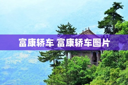 富康轿车 富康轿车图片 富康轿车 富康轿车图片