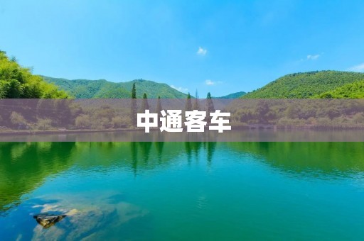 中通客车:打造中国客车行业的领头羊 中通客车:打造中国客车行业的领头羊
