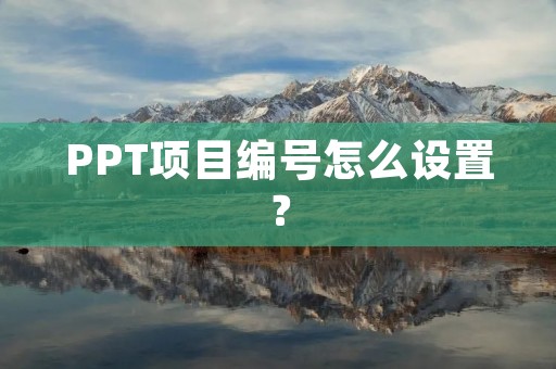 PPT项目编号怎么设置？