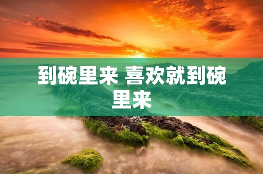 到碗里来 喜欢就到碗里来