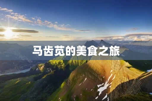 马齿苋的美食之旅:多种吃法让你爱不释口 马齿苋的美食之旅:多种吃法让你爱不释口