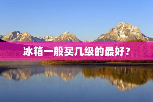 冰箱一般买几级的最好？