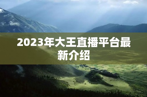 2023年大王直播平台最新介绍