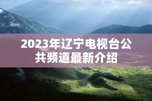 2023年辽宁电视台公共频道最新介绍