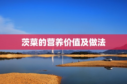 茨菜的营养价值及做法