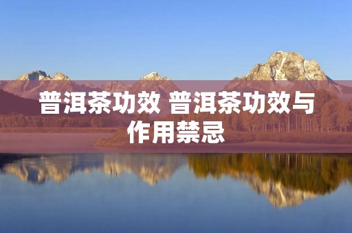 普洱茶功效 普洱茶功效与作用禁忌