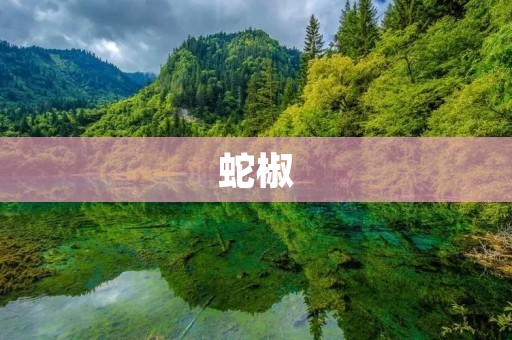蛇椒:一种独特的食材 蛇椒:一种独特的食材