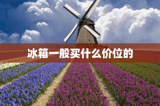 冰箱一般买什么价位的