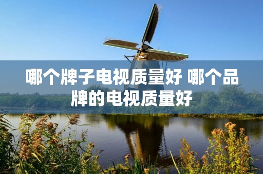 哪个牌子电视质量好 哪个品牌的电视质量好