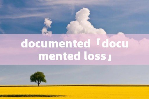 documented「documented loss」