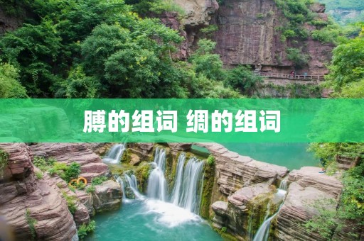 膊的组词 绸的组词