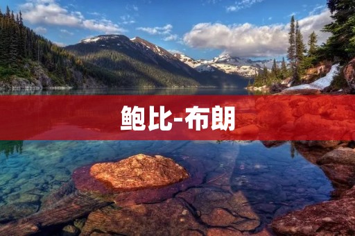 鲍比-布朗:NBA历史上最伟大的得分手 鲍比-布朗:NBA历史上最伟大的得分手