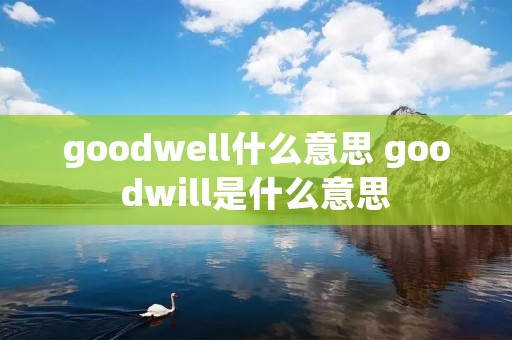 goodwell什么意思 goodwill是什么意思