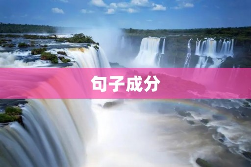 句子成分：揭开句子的神秘面纱
