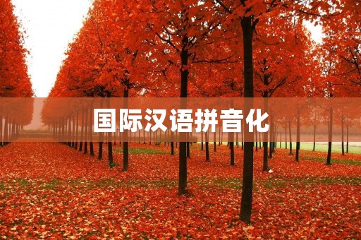 国际汉语拼音化:拼音对中文教学和汉语国际化的影响 国际汉语拼音化:拼音对中文教学和汉语国际化的影响