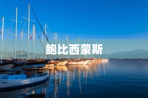 鲍比西蒙斯：美国著名篮球运动员的传奇人生