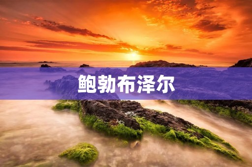 鲍勃布泽尔:美国政治家与商人的兼备者 鲍勃布泽尔:美国政治家与商人的兼备者