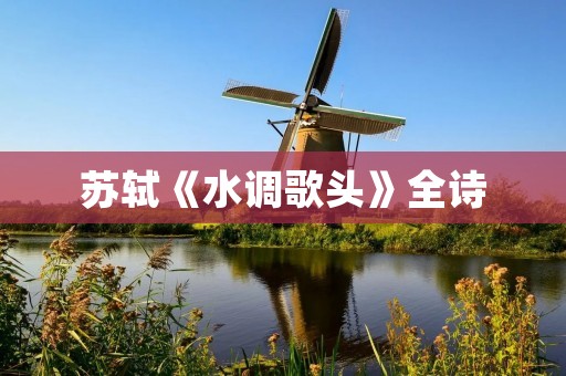苏轼《水调歌头》全诗:唯美的艺术之作