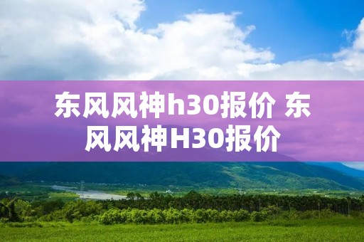 东风风神h30报价 东风风神H30报价