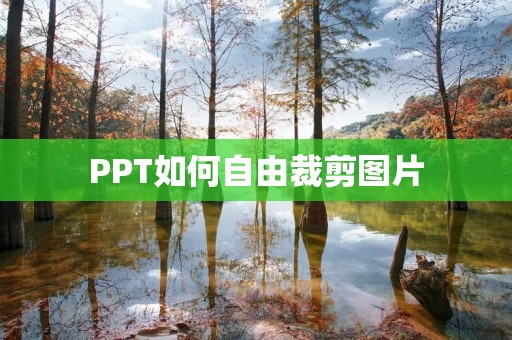 PPT如何自由裁剪图片：让你的PPT图片更加专业精致