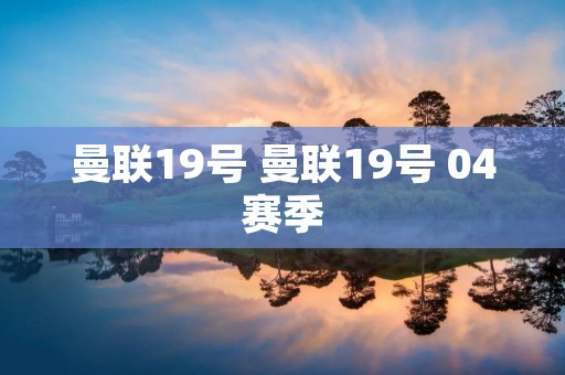 曼联19号 曼联19号 04赛季