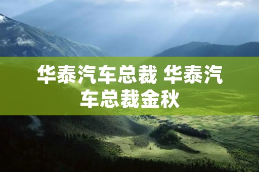 华泰汽车总裁 华泰汽车总裁金秋 华泰汽车总裁 华泰汽车总裁金秋