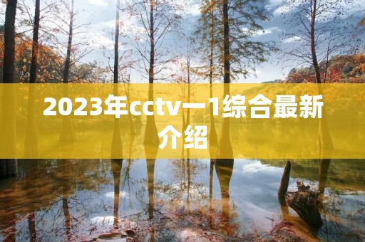 2023年cctv一1综合最新介绍